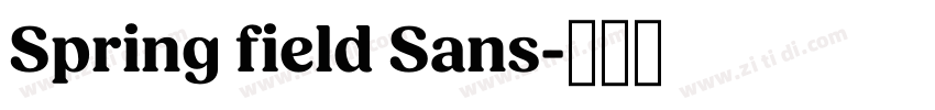 Spring field Sans字体转换